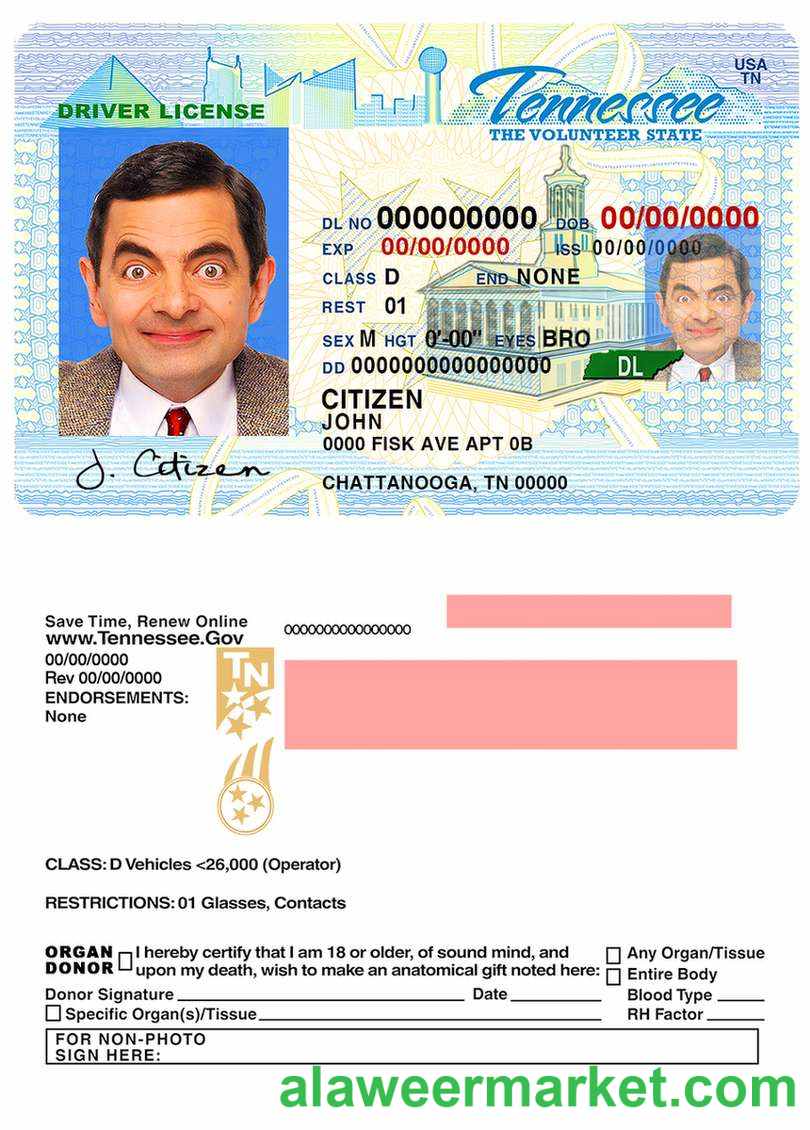 USA Tennessee driving license